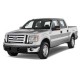 Накладки на пороги з підсвіткою для Ford F150 12 2009-2014