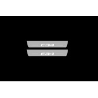 Накладки на пороги з підсвіткою BMW 5 E34 1987-1996 з лого E34 (rear doors) - (тип Static)
