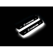 Накладки на пороги з підсвіткою BMW X6 E71 2008-2015 з логотипом HAMANN (rear doors) - (тип Static)