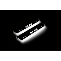 Накладки на пороги з підсвіткою BMW X6 G06 2019+ (rear doors) - (тип Static) Накладки на пороги з підсвіткою BMW X6 G06 2019+ (rear doors) - (тип Static)